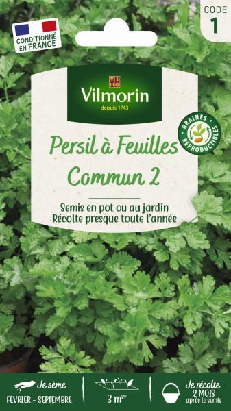 Aromatiques - Persil Commun 2 - PACKAGING_RECTO